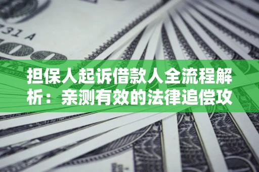 济南担保人起诉借款人全流程解析：亲测有效的法律追偿攻略