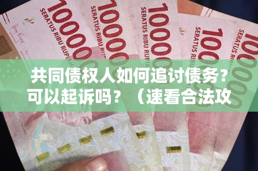济南共同债权人如何追讨债务？可以起诉吗？（速看合法攻略）
