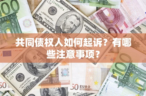 济南共同债权人如何起诉？有哪些注意事项？
